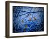 Winter Sparrows, 2020, (composite painting)-Helen White-Framed Giclee Print