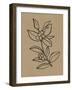 Winter Sprig I-Annie Warren-Framed Art Print