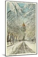 Winter, State Capitol, Denver, Colorado-null-Mounted Art Print