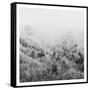 Winter Storm 1-Marcus Prime-Framed Stretched Canvas