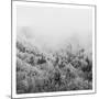 Winter Storm 1-Marcus Prime-Mounted Art Print