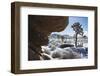 Winter storm, Joshua Tree National Park, California-Zandria Muench Beraldo-Framed Photographic Print