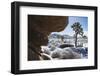 Winter storm, Joshua Tree National Park, California-Zandria Muench Beraldo-Framed Photographic Print