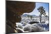 Winter storm, Joshua Tree National Park, California-Zandria Muench Beraldo-Mounted Photographic Print