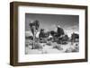 Winter storm, Joshua Tree National Park, California-Zandria Muench Beraldo-Framed Photographic Print