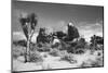 Winter storm, Joshua Tree National Park, California-Zandria Muench Beraldo-Mounted Photographic Print