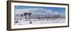 Winter storm, Joshua Tree National Park, California-Zandria Muench Beraldo-Framed Photographic Print