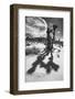 Winter storm, Joshua Tree National Park, California-Zandria Muench Beraldo-Framed Photographic Print