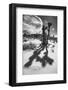 Winter storm, Joshua Tree National Park, California-Zandria Muench Beraldo-Framed Photographic Print