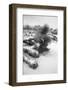 Winter storm, Joshua Tree National Park, California-Zandria Muench Beraldo-Framed Photographic Print