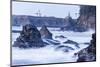 Winter storm watching, Cape Arago Lighthouse from Shore Acres State Park, Oregon Coast, USA-Stuart Westmorland-Mounted Photographic Print