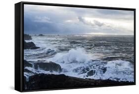 Winter storm watching, Shore Acres State Park, Southern Oregon Coast, USA-Stuart Westmorland-Framed Stretched Canvas