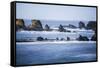 Winter storm watching, Shore Acres State Park, Southern Oregon Coast, USA-Stuart Westmorland-Framed Stretched Canvas