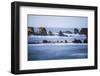 Winter storm watching, Shore Acres State Park, Southern Oregon Coast, USA-Stuart Westmorland-Framed Photographic Print