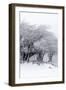 Winter Storm-Incado-Framed Photographic Print