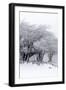 Winter Storm-Incado-Framed Photographic Print