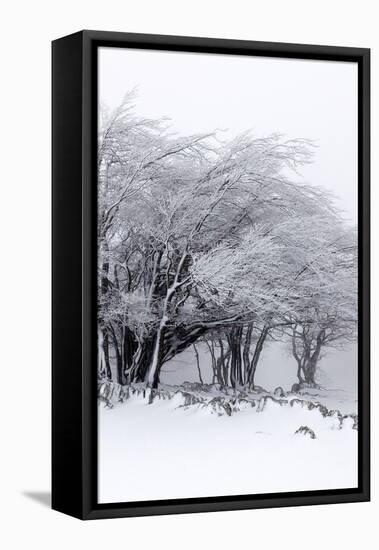 Winter Storm-Incado-Framed Stretched Canvas