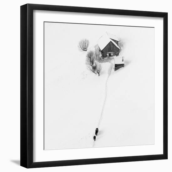 Winter story-Lazar Ioan Ovidiu-Framed Photographic Print