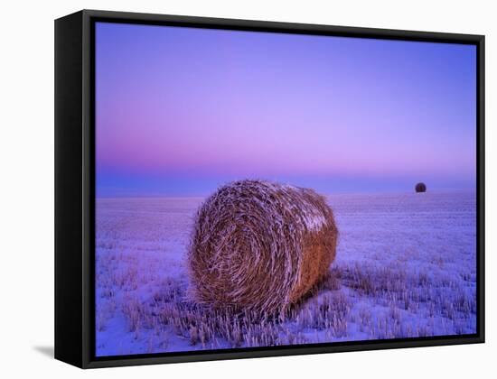 Winter Straw Bales near Cartwright, North Dakota, USA-Chuck Haney-Framed Stretched Canvas