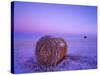 Winter Straw Bales near Cartwright, North Dakota, USA-Chuck Haney-Stretched Canvas