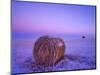 Winter Straw Bales near Cartwright, North Dakota, USA-Chuck Haney-Mounted Photographic Print