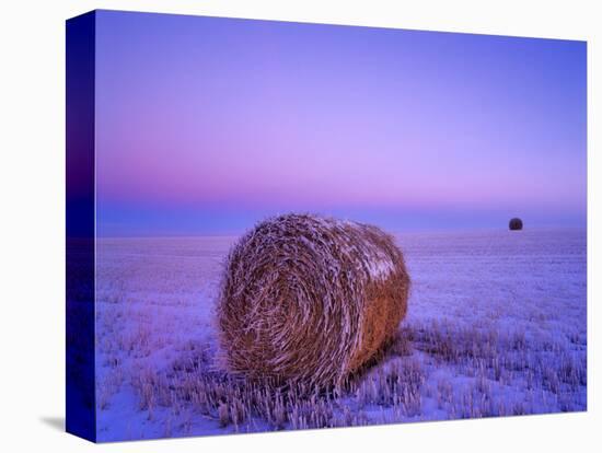 Winter Straw Bales near Cartwright, North Dakota, USA-Chuck Haney-Stretched Canvas