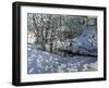Winter Stream, Derbyshire-Andrew Macara-Framed Giclee Print