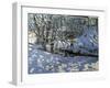 Winter Stream, Derbyshire-Andrew Macara-Framed Giclee Print