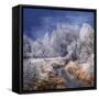 Winter Stream-Philippe Sainte-Laudy-Framed Stretched Canvas