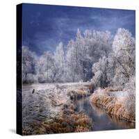 Winter Stream-Philippe Sainte-Laudy-Stretched Canvas