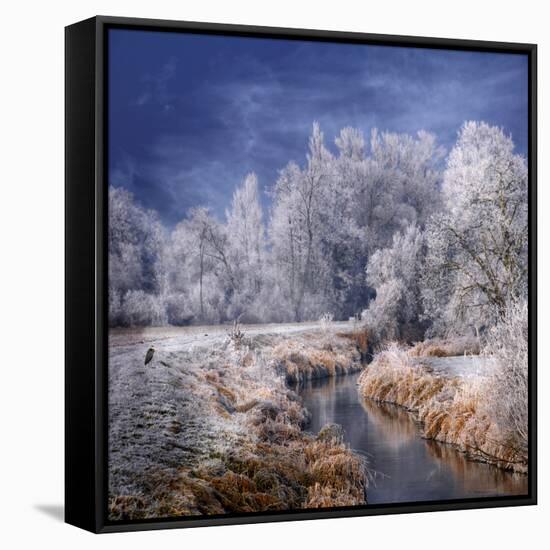 Winter Stream-Philippe Sainte-Laudy-Framed Stretched Canvas