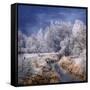 Winter Stream-Philippe Sainte-Laudy-Framed Stretched Canvas