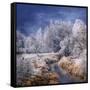 Winter Stream-Philippe Sainte-Laudy-Framed Stretched Canvas