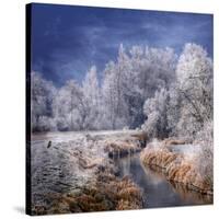 Winter Stream-Philippe Sainte-Laudy-Stretched Canvas