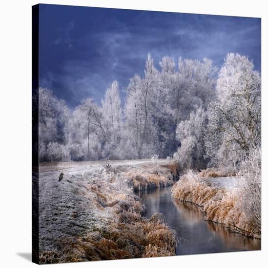 Winter Stream-Philippe Sainte-Laudy-Stretched Canvas