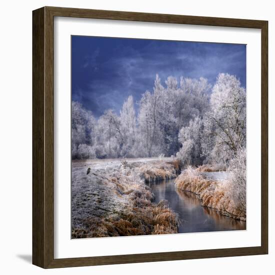 Winter Stream-Philippe Sainte-Laudy-Framed Photographic Print