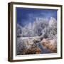 Winter Stream-Philippe Sainte-Laudy-Framed Photographic Print