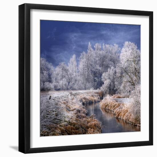 Winter Stream-Philippe Sainte-Laudy-Framed Photographic Print