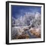 Winter Stream-Philippe Sainte-Laudy-Framed Photographic Print