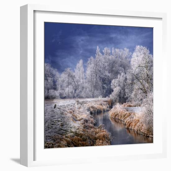 Winter Stream-Philippe Sainte-Laudy-Framed Photographic Print