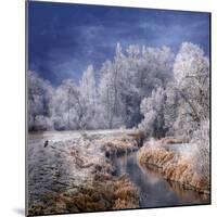 Winter Stream-Philippe Sainte-Laudy-Mounted Photographic Print