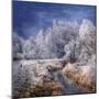 Winter Stream-Philippe Sainte-Laudy-Mounted Photographic Print