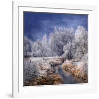 Winter Stream-Philippe Sainte-Laudy-Framed Photographic Print