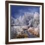 Winter Stream-Philippe Sainte-Laudy-Framed Photographic Print