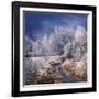 Winter Stream-Philippe Sainte-Laudy-Framed Photographic Print