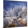 Winter Stream-Philippe Sainte-Laudy-Mounted Photographic Print