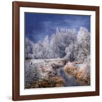 Winter Stream-Philippe Sainte-Laudy-Framed Photographic Print