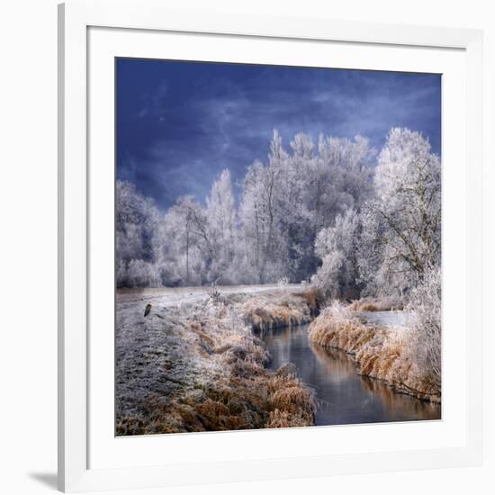 Winter Stream-Philippe Sainte-Laudy-Framed Photographic Print