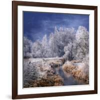 Winter Stream-Philippe Sainte-Laudy-Framed Photographic Print