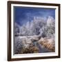 Winter Stream-Philippe Sainte-Laudy-Framed Photographic Print